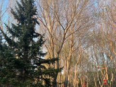 -长春公园(普阳街道)