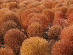 -嘉北郊野公园
