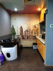 -乌贝卡专业假发