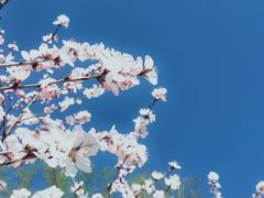 -颐和园