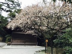 -热田神宫
