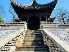 -广富林郊野公园