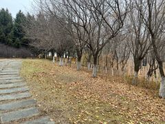 -长春世界雕塑园冰雪艺术天地