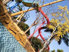 -苏州乐园森林水世界