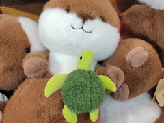 -KKV(上海月星环球港主力店)