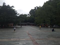 景点-水濂山森林公园