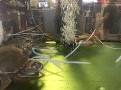 -凯华海鲜火锅·传承三十六年