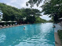 -瑰丽酒店·海吧·天际下午茶·现场DJ·天台酒吧