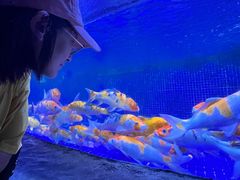 -左海海底世界