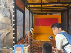 -海合安成都极地海洋公园