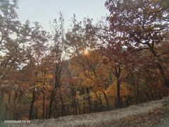 -北京鹫峰国家森林公园