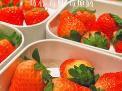 -尚荟汤泉生活馆