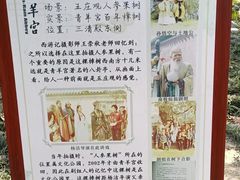 -青羊宫