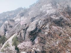-北京凤凰岭