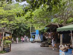 -亚龙湾热带天堂森林公园