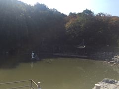 -陶祖圣境风景区