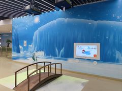 -苏州青少年科技馆