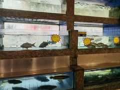 -东城食府·手工点心·37年老字号(虎门店)
