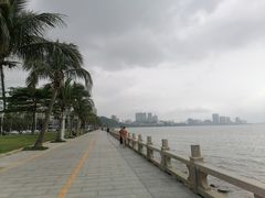 -观澳平台