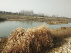 -洨河生态公园