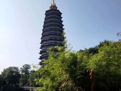 -听松楼·花园酒店·自助餐厅(红梅公园店)
