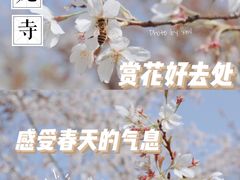 -西安青龙寺遗址景区