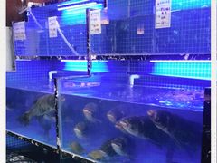 -姜君·千岛湖鱼头馆(浦东大道店)
