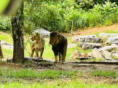 -北京野生动物园