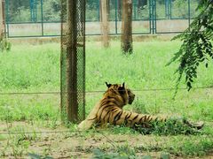 -秦皇岛野生动物园