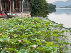 -湘湖大院(越王路店)