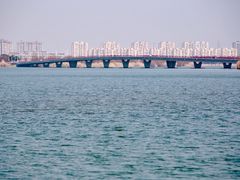 -漕湖湿地公园