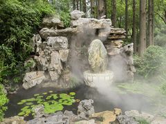 -上海醉白池公园