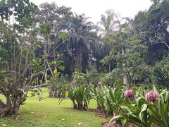 -中国科学院西双版纳热带植物园