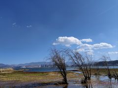 -洱海月湿地公园
