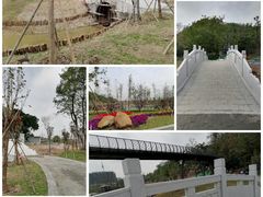 -王借岗森林公园
