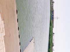 -大港湿地公园