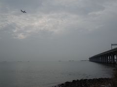 -宝安西湾红树林湿地公园