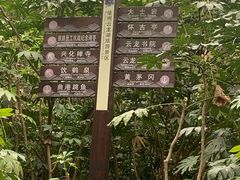 -云龙山