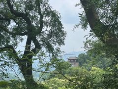 -都江堰景区