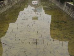 -四川大学(华西校区)