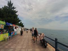 -悦海公园