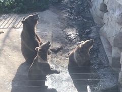 -哈尔滨北方森林动物园