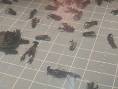 -虾胡闹龙虾馆(湄南河店)