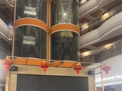 -五谷芳乳鸽王(海景店)