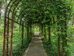 -国家植物园南园