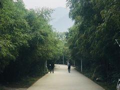 -西安秦岭野生动物园