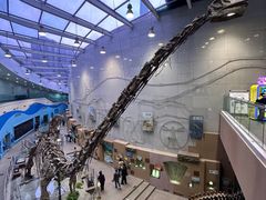 -陕西自然博物馆