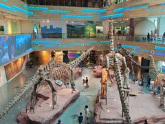 -安徽省地质博物馆