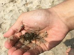 -那香海钻石沙滩浴场