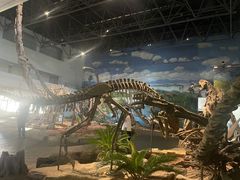-自贡恐龙博物馆